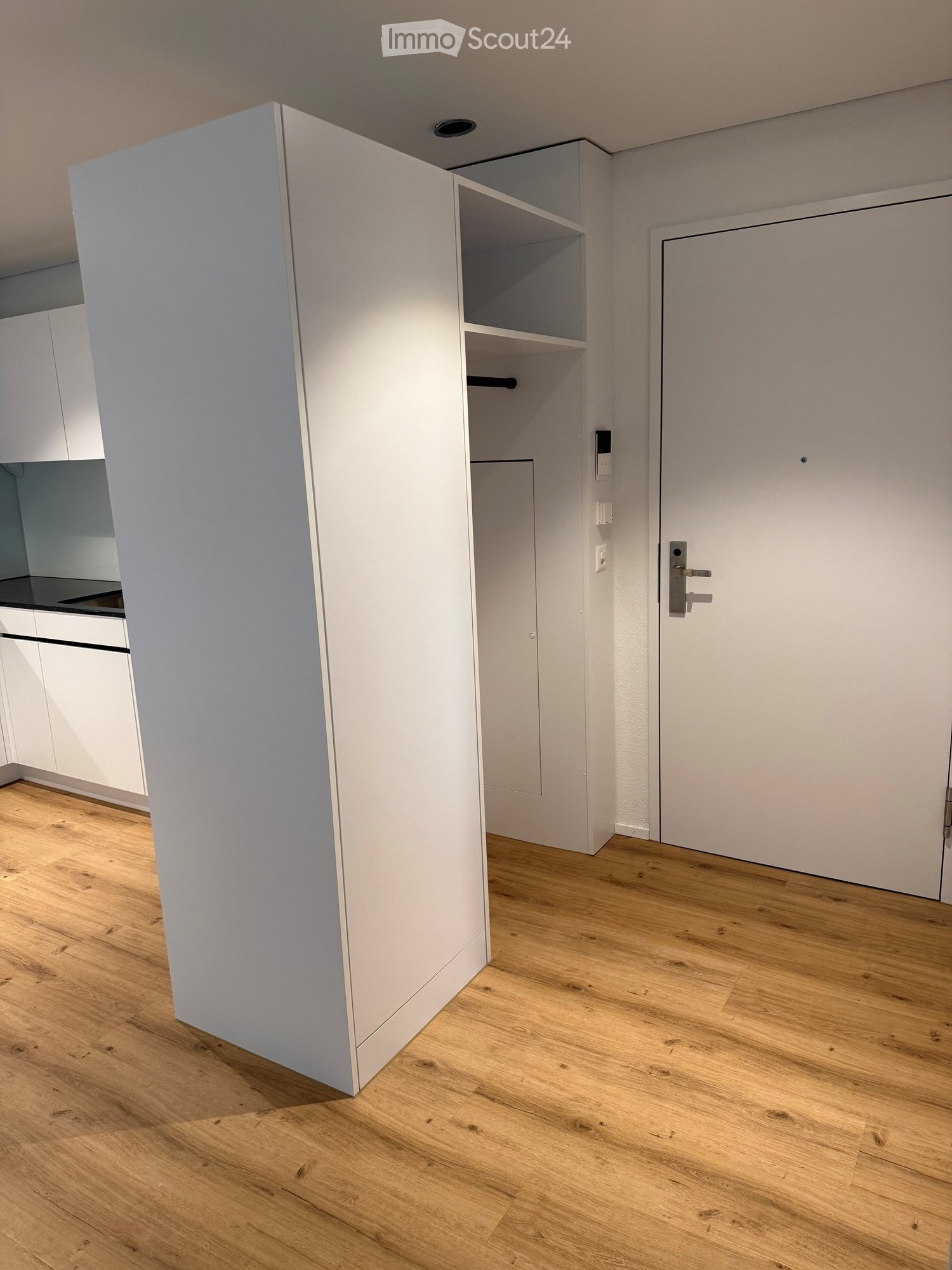 An empty room with a white cabinet and shelves against the wall, a closet with a silver handle, a white door with a silver handle, and a black kitchen counter. Wooden floor.