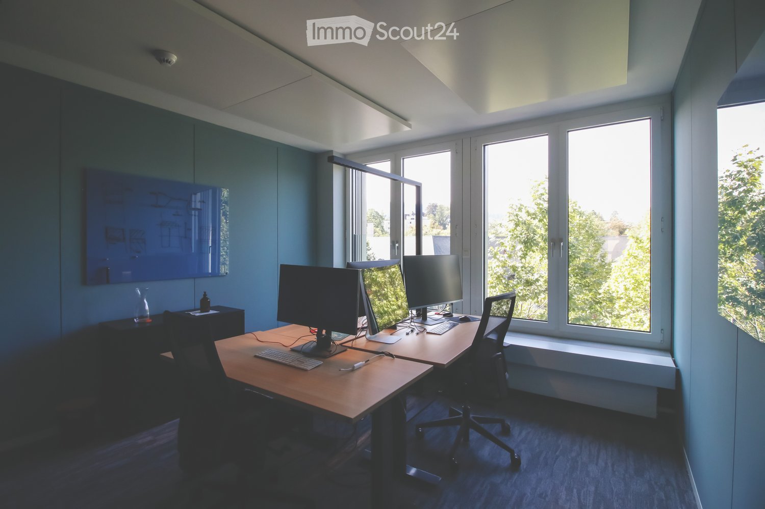 An empty office with two desks and chairs, a large window, a blue wall with a mounted picture, and monitors on the desks.