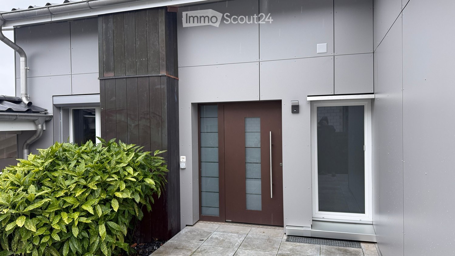 Modern grey exterior, brown wooden and glass door, glass window, plants