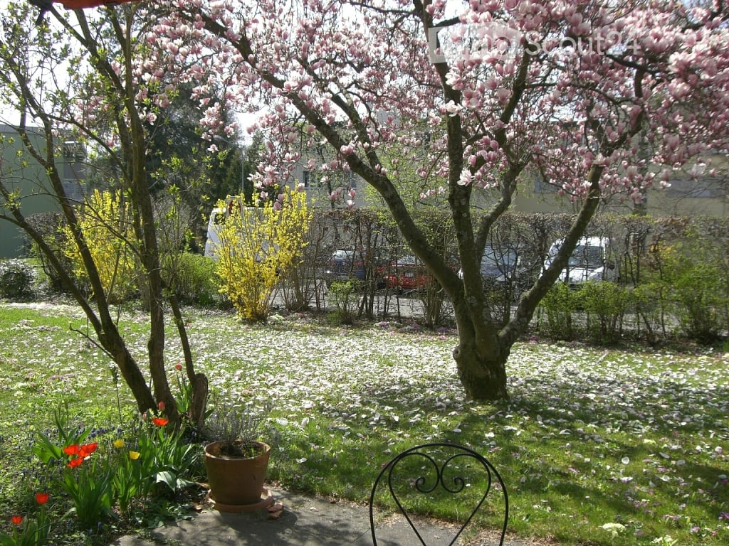 A garden with a grassy lawn and blooming flowers, along with a chair and a potted plant