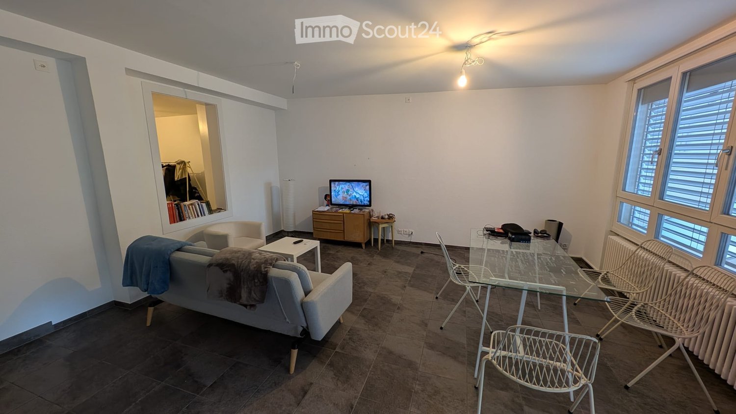 Living room: grey couch, TV, wooden coffee table, glass dining table, chairs, radiator, shelves, window with blinds, ceiling light