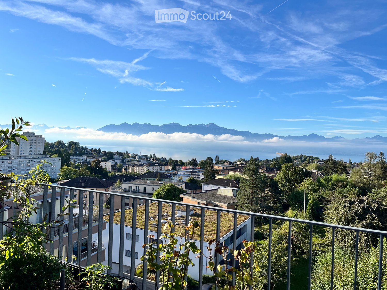 Panoramic view of the city, mountains, and the sea from a balcony