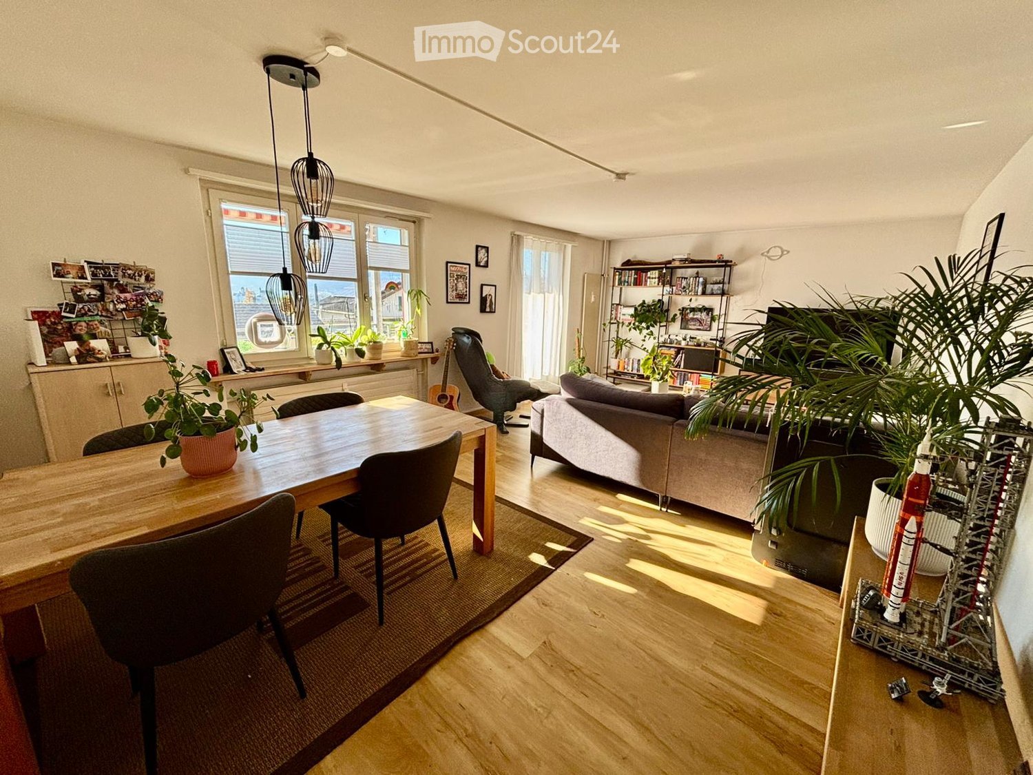 living room with dining table, sofa, rug, plants, bookshelves, and decorations