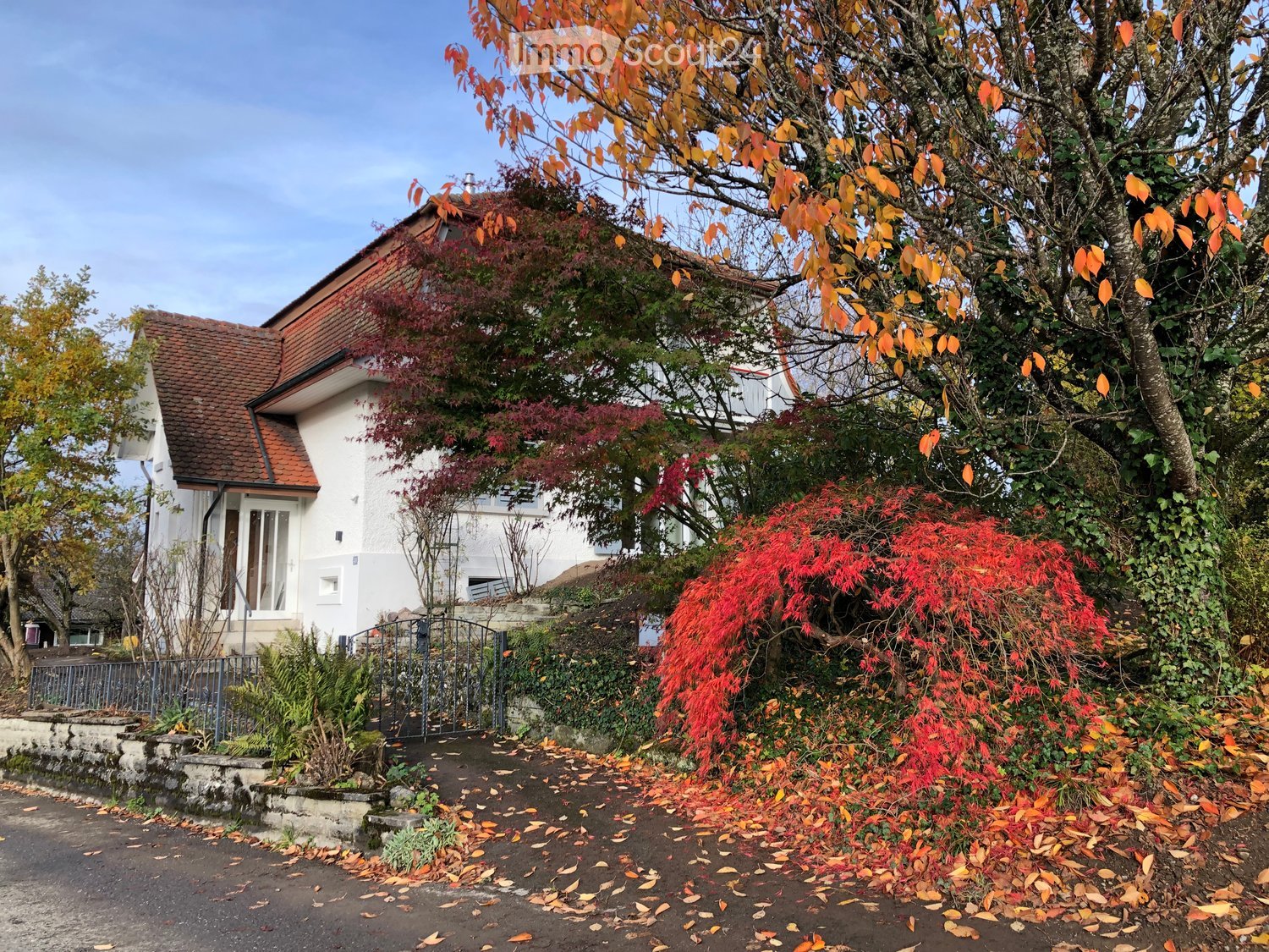 white house with brown roof, garden, tree with red leaves, gate, pathway