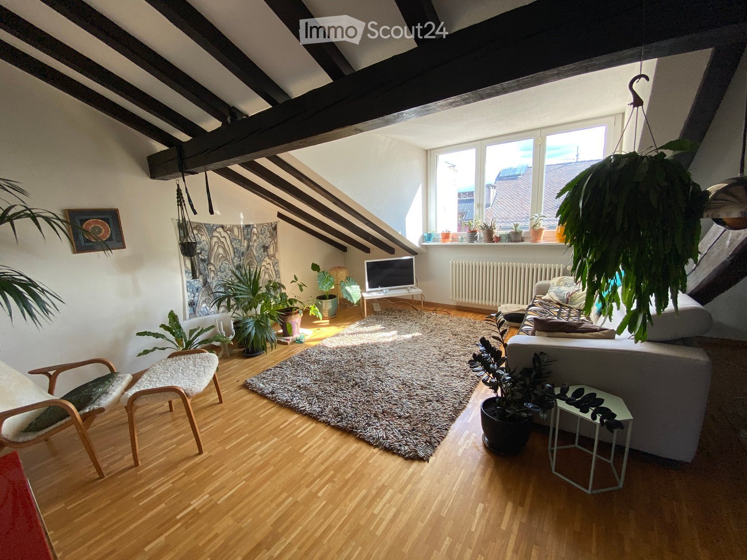 wooden floor, exposed wooden beams, large windows, many plants, rug, furniture, monitor, radiator, picture frame
