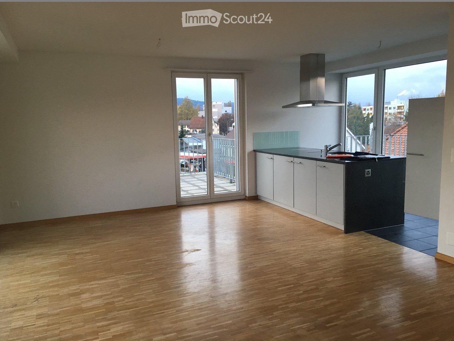 wood floor, large glass doors, balcony, modern kitchen with countertops and sink, cabinets, ceiling lamp