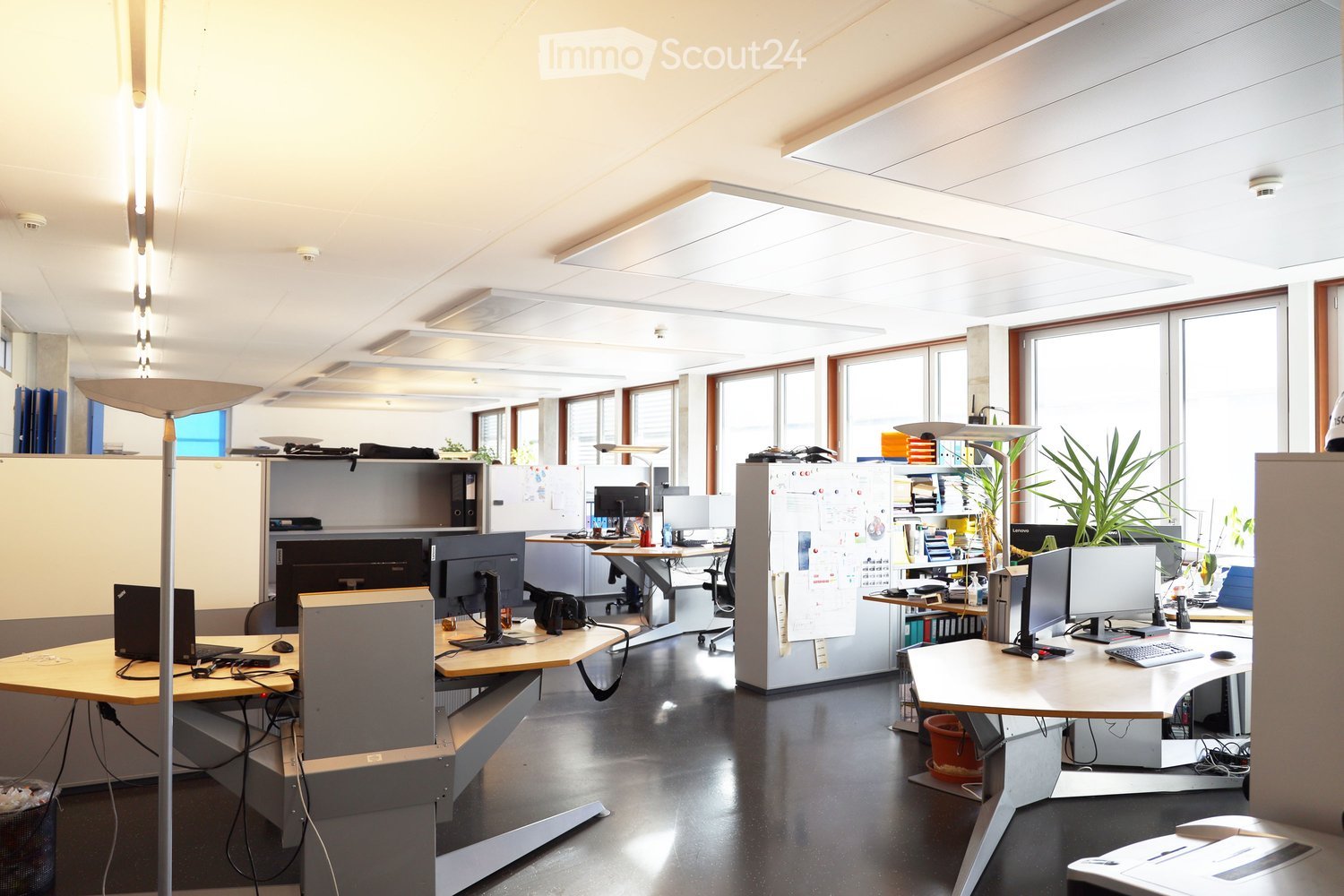 Multiple desks, computer monitors, keyboards, potted plants, storage shelves, office chairs