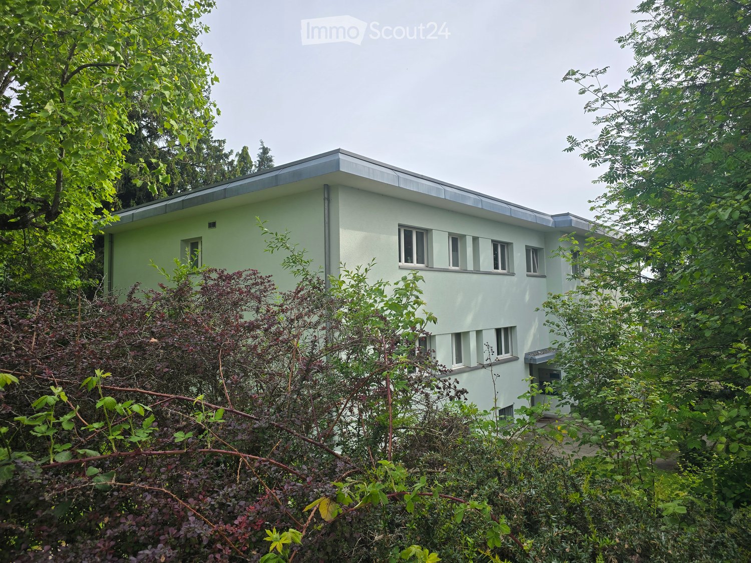 House. A modern, single-story house with a flat roof and light green exterior, surrounded by lush greenery and trees.