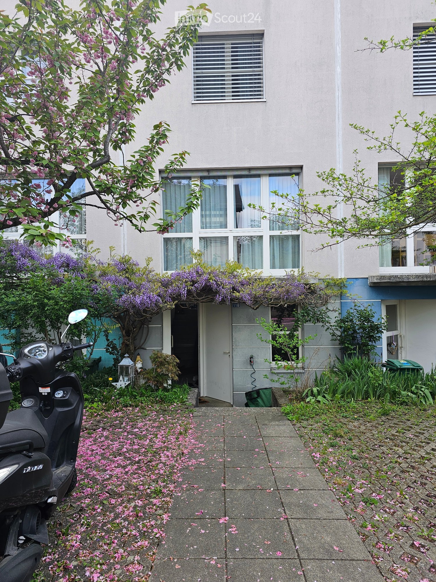 3 story house, white walls, white windows, purple flowers, entrance, scooter