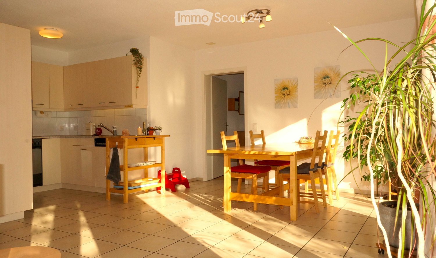 Bright, sunlit room with a wooden dining table and chairs, a kitchen area with cabinets and appliances, and a large potted plant near the window.