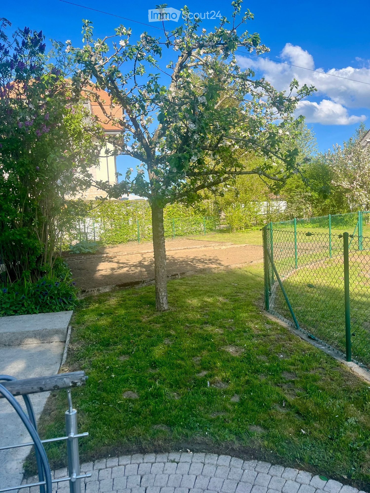 Garden with a tree, green grass, a fence, and a concrete pathway.