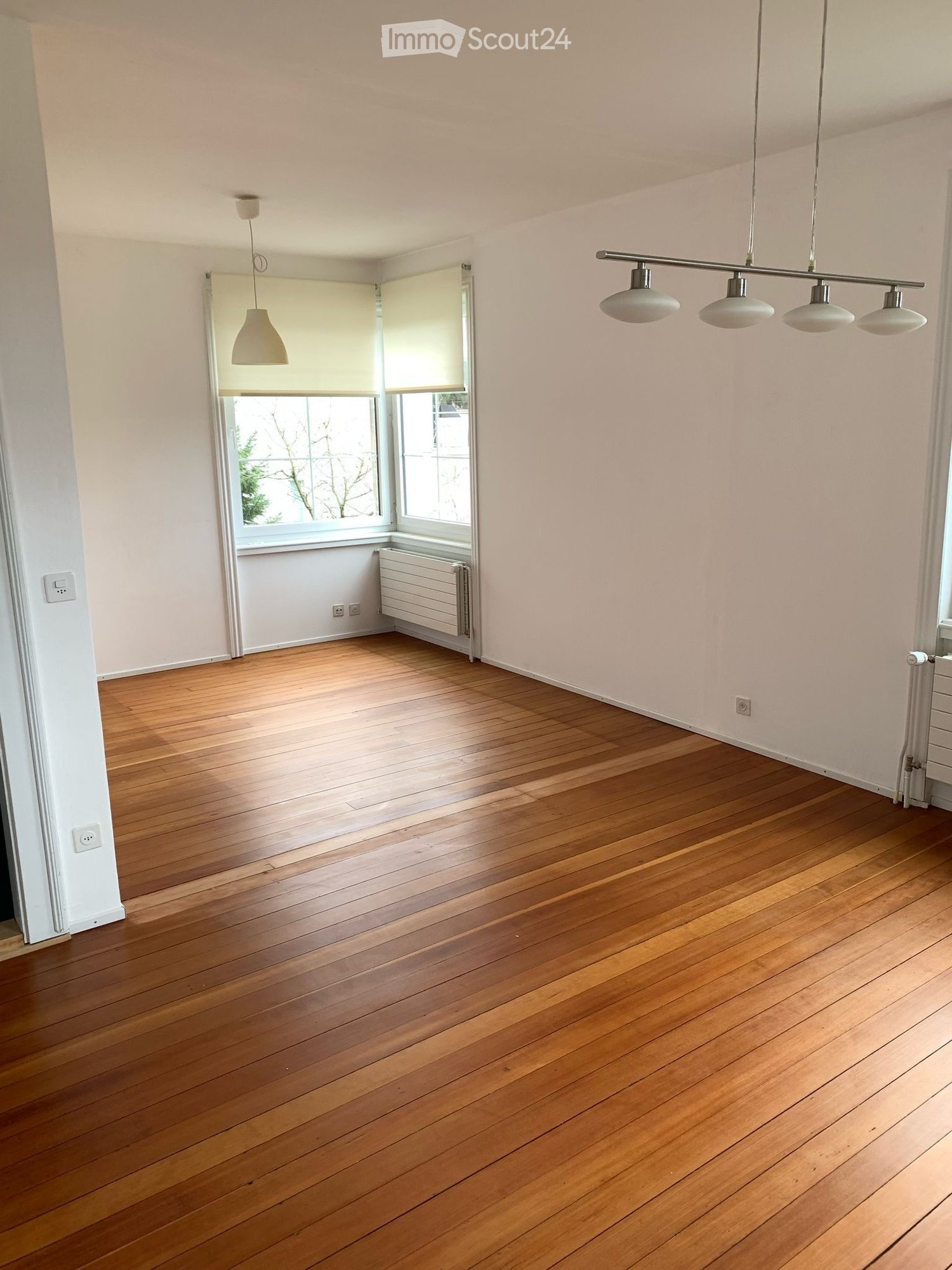 Empty room with wooden flooring, white walls, and large windows with blinds. Features include a radiator, electrical outlets, and pendant lights.