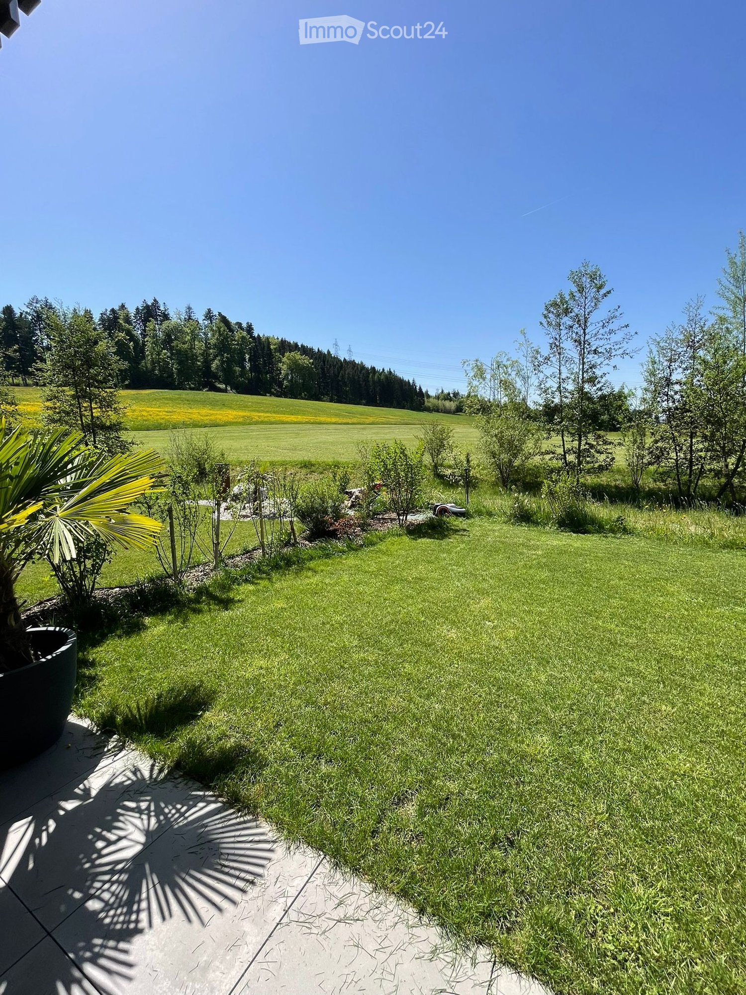 Well-maintained garden with a lush green lawn, small plants, and a scenic view of a field and trees in the background.