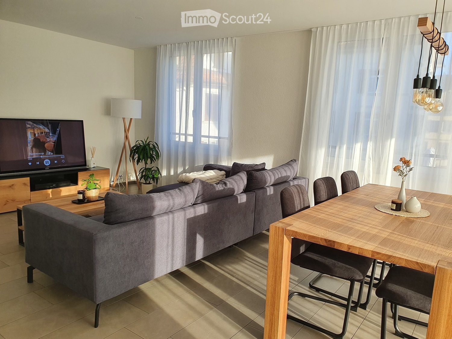 Modern living room with a grey sectional sofa, coffee table, flat-screen TV, dining table with chairs, floor lamp, and decorative plants.