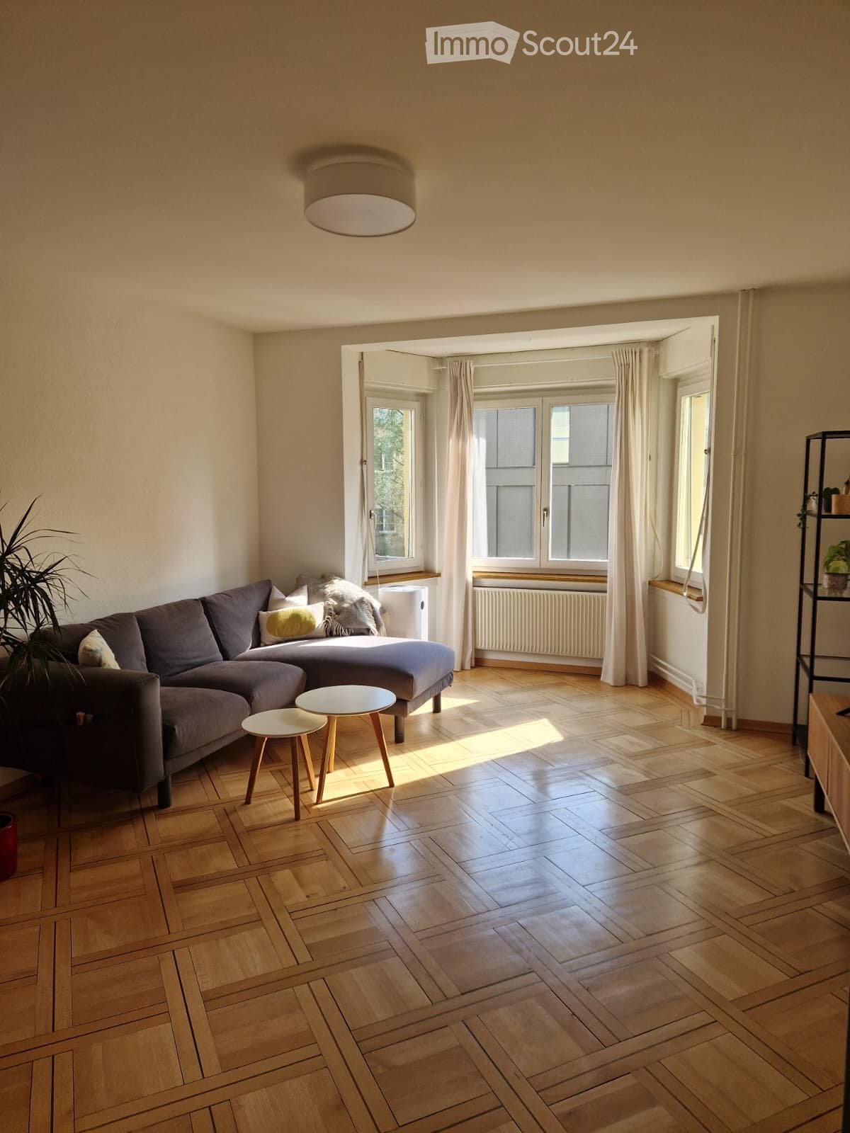 Bright living room with wooden flooring, large windows, a grey sectional sofa, two small round tables, a potted plant, and a shelf with decorative items.