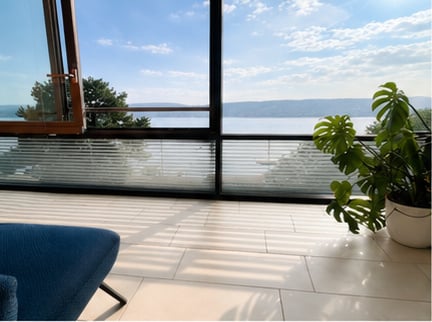 Bright room with large windows offering a scenic view, featuring a blue sofa and a potted plant on the floor.