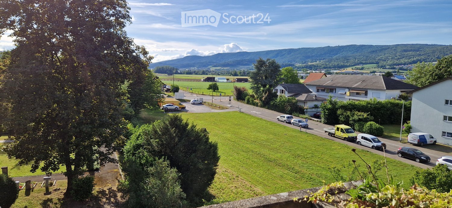 A panoramic view of a rural area with a road, parked cars, houses, green fields, and distant mountains under a clear sky.
