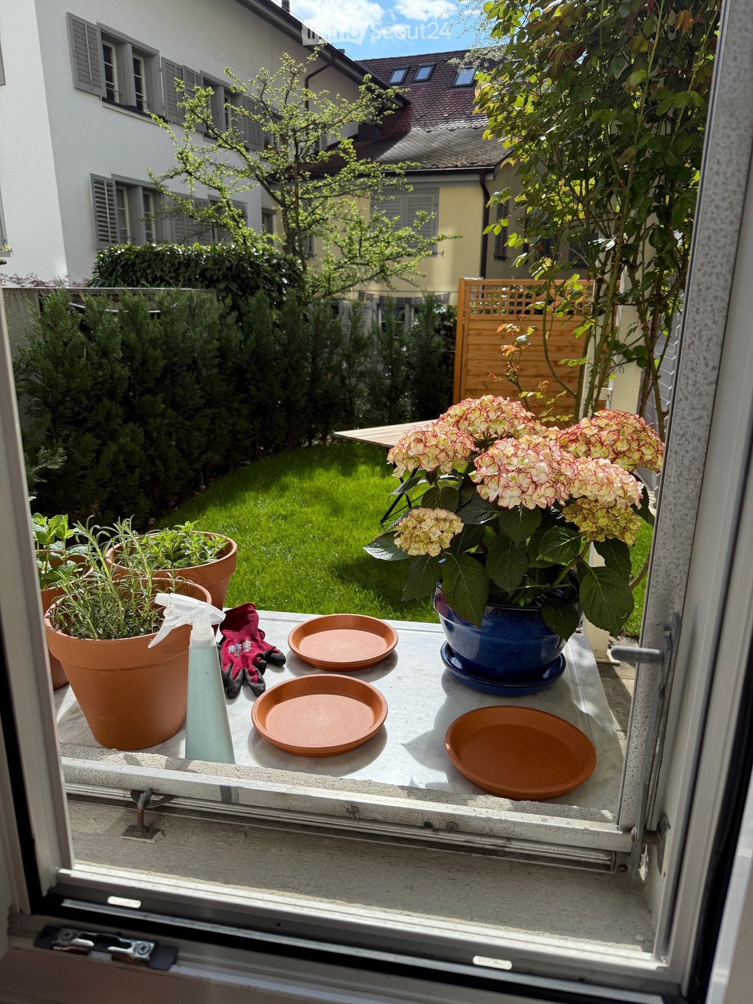 Balcony with potted plants, gardening tools, and dishes on the windowsill, overlooking a garden with trees and a house in the background.