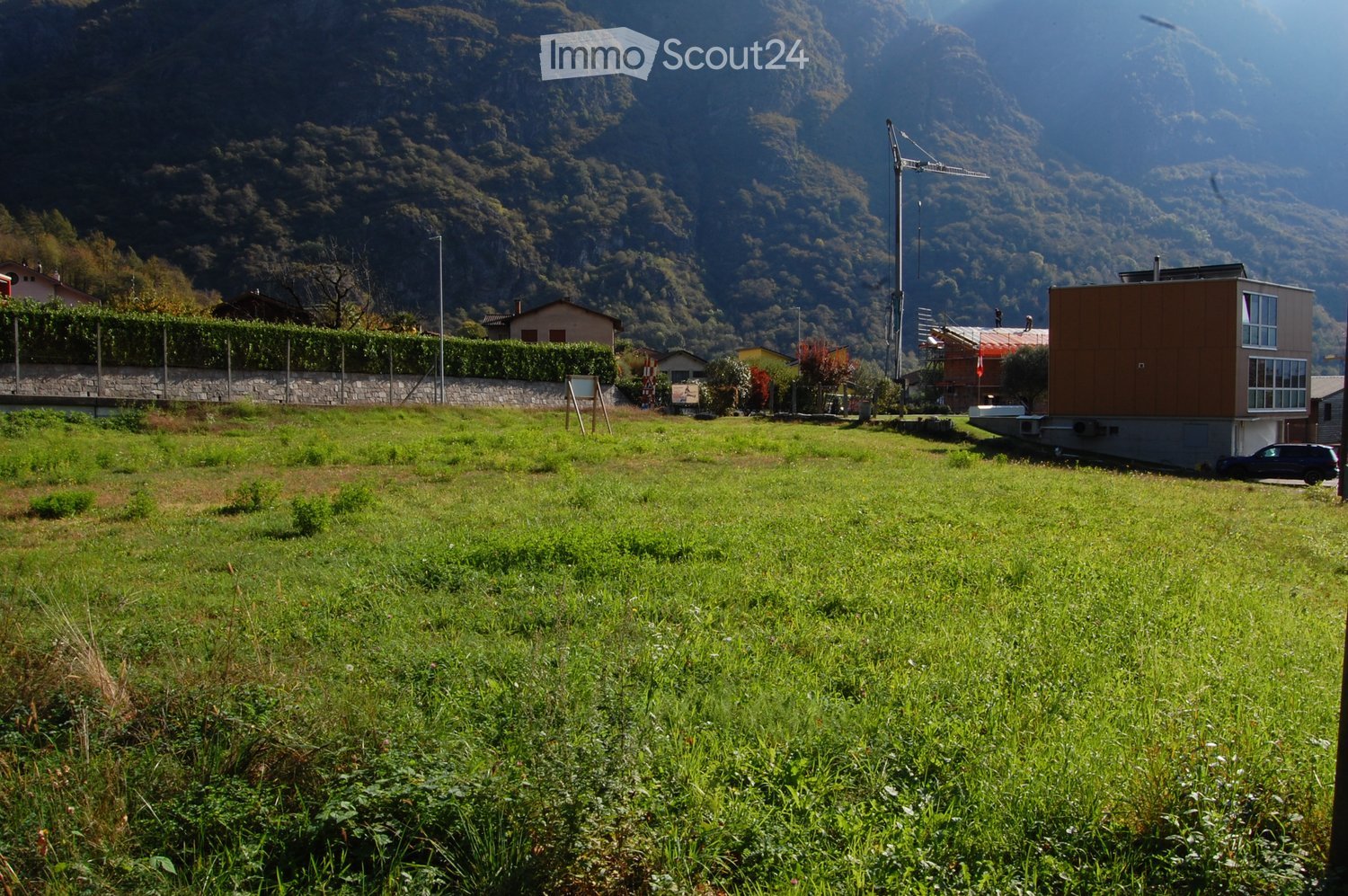 A grassy field with scattered trees and shrubs, surrounded by a stone wall and a hedge, with several houses and a mountainous backdrop.