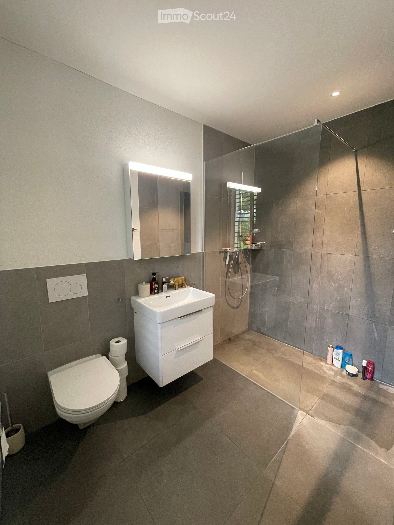 Modern bathroom with a toilet, sink, mirror, and walk-in shower. Grey tiles, white fixtures, and a built-in vanity with storage.