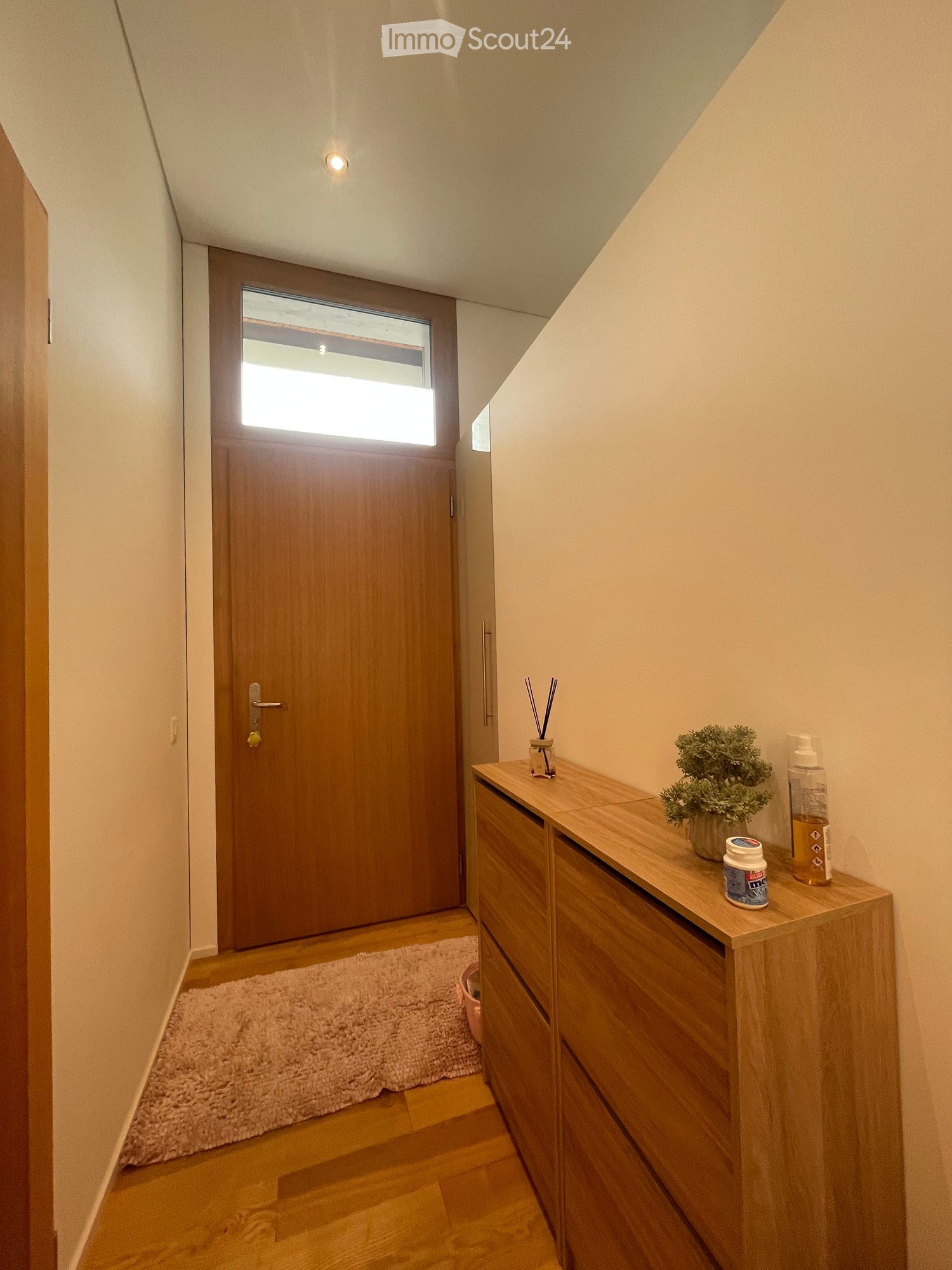 A narrow hallway with wooden flooring, a small wooden cabinet with drawers, a potted plant, and a small rug near the door.
