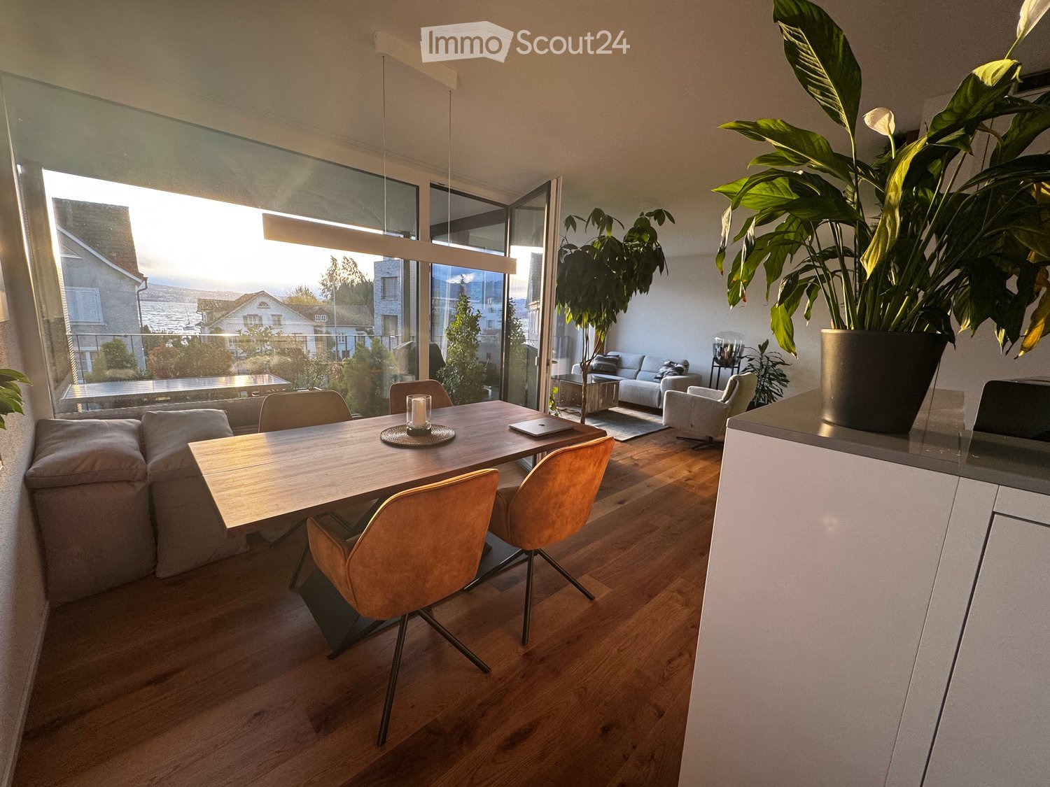 Open-plan living and dining area with wooden flooring, large windows, a sofa, dining table with chairs, and a plant in a pot.