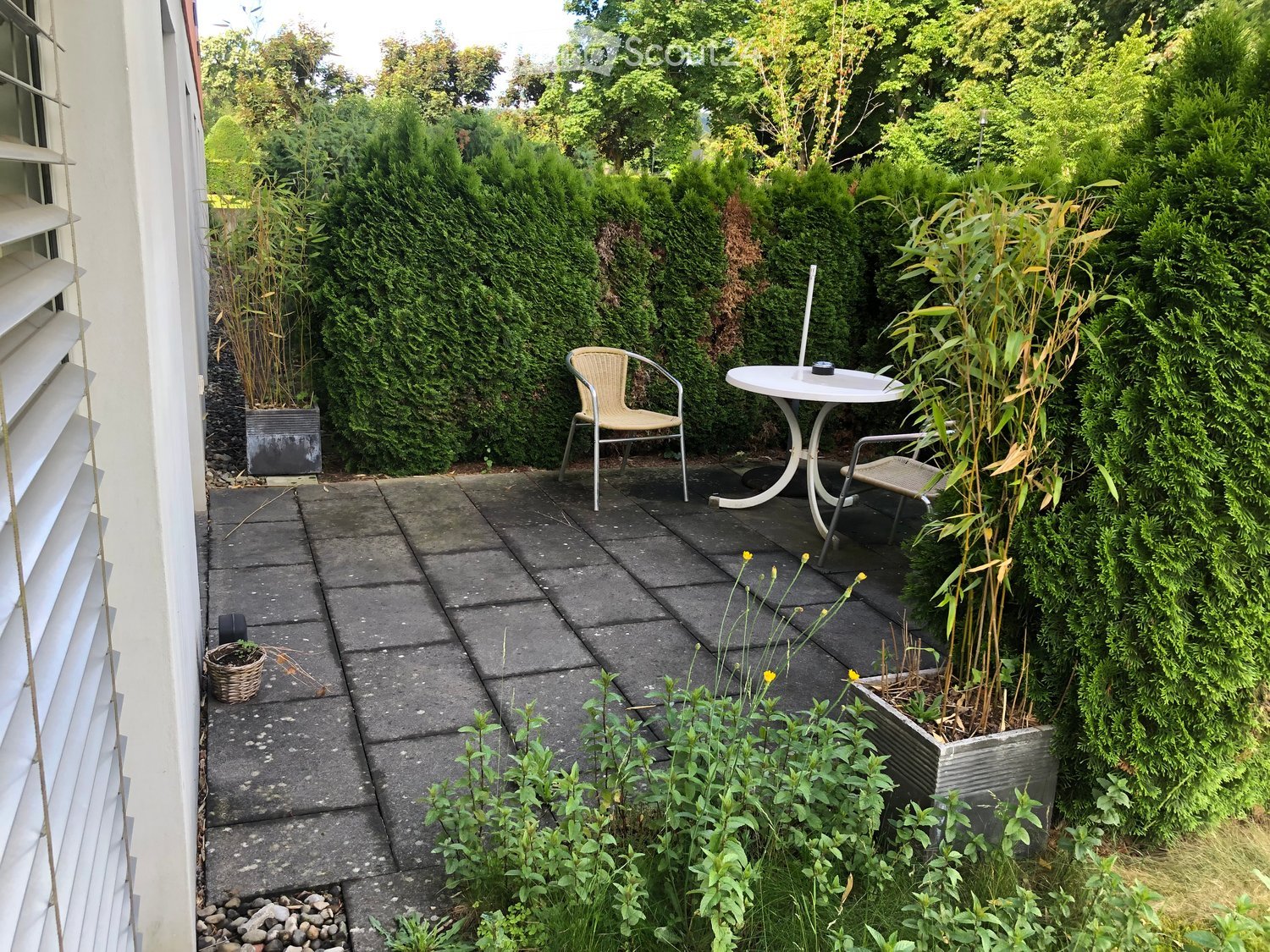 A small patio area with a round table and two chairs, surrounded by greenery and hedges, with a paved walkway leading to the house.