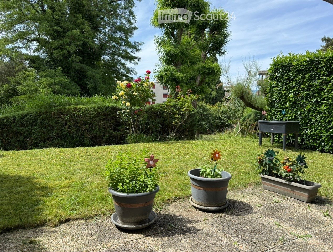 Well-maintained garden with a lawn, potted plants, and a small table, surrounded by hedges and trees.