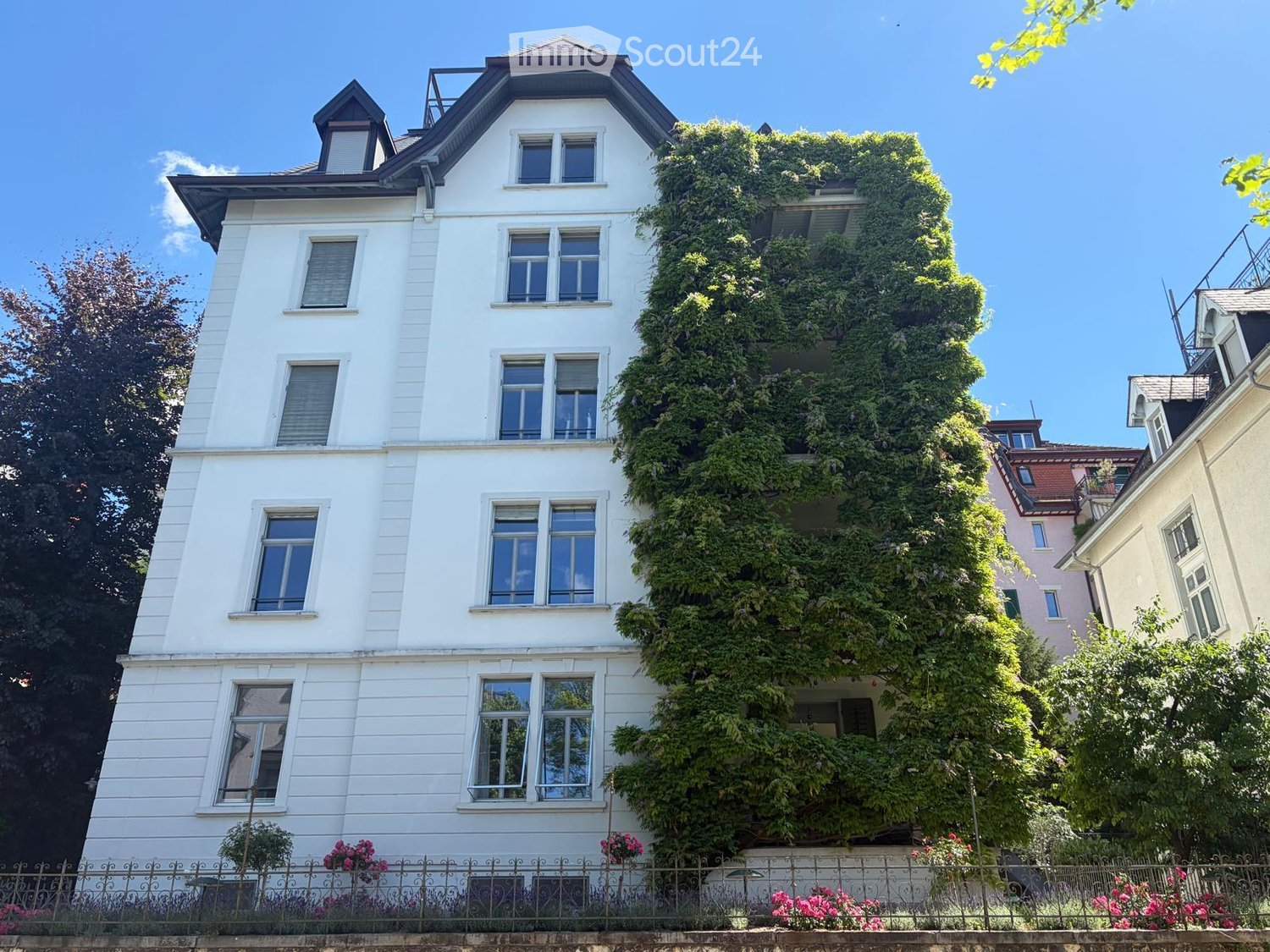 A white multi-story house with ivy-covered walls, multiple windows, and a decorative metal fence with flowering plants in front.