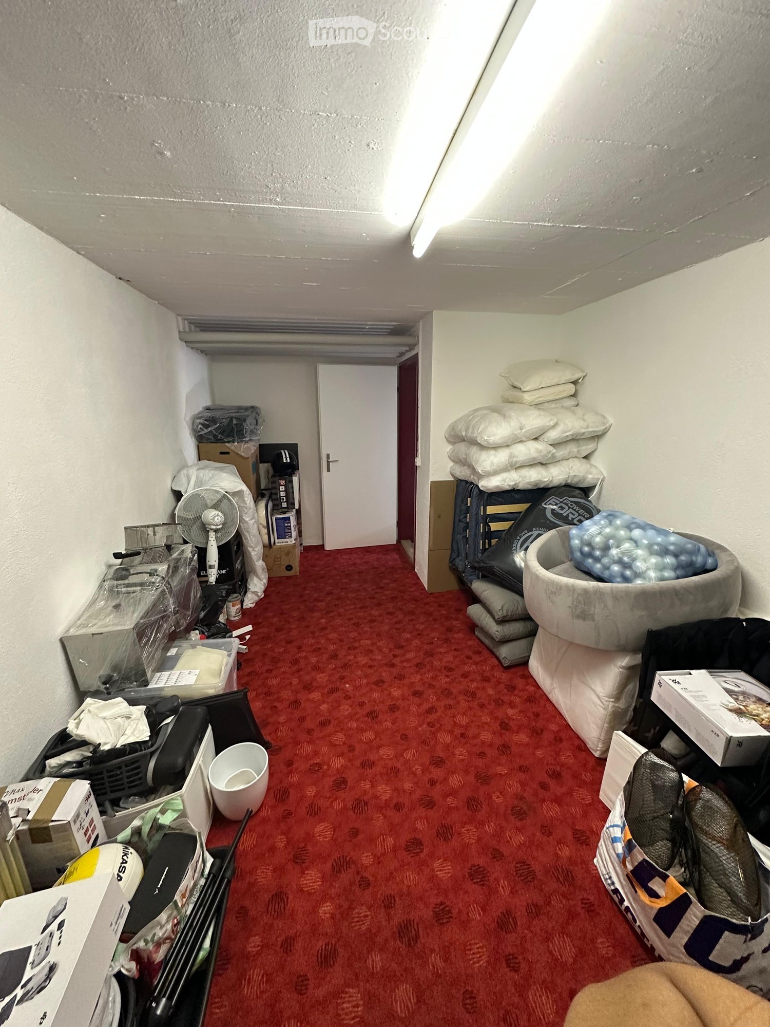 A small, cluttered room with red carpeting, a fan, a cat bed, a cup, and various boxes and items scattered around.