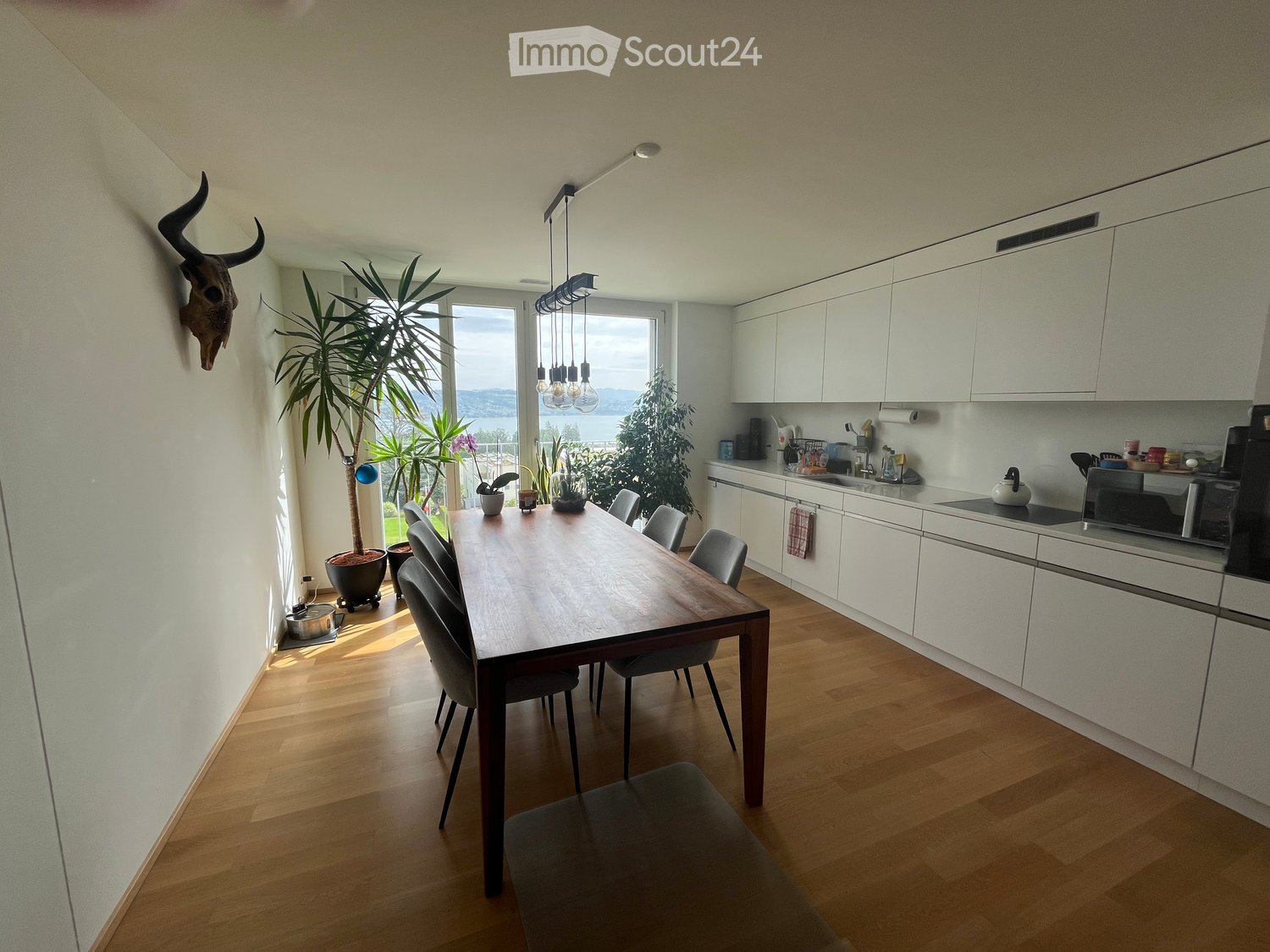 Modern kitchen with white cabinets, wooden dining table, six chairs, and various appliances including a refrigerator, oven, and microwave. There is a large window with a view, and several potted plants are placed around the room.