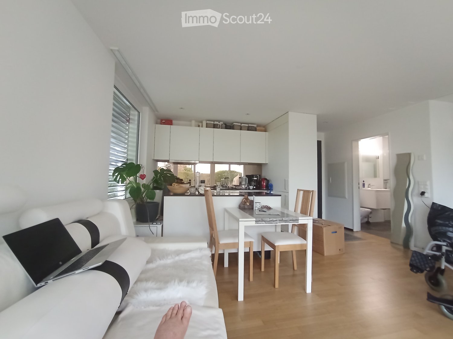 Modern, open-plan living and dining area with white walls, light wood flooring, a white sofa, a laptop, a dining table with chairs, kitchen cabinets, and a visible bathroom with a toilet and sink.