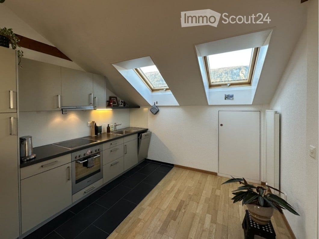 Modern kitchen with grey cabinets, stainless steel appliances, black tiled floor, and wooden flooring. Features two skylights and a small potted plant on a side table.