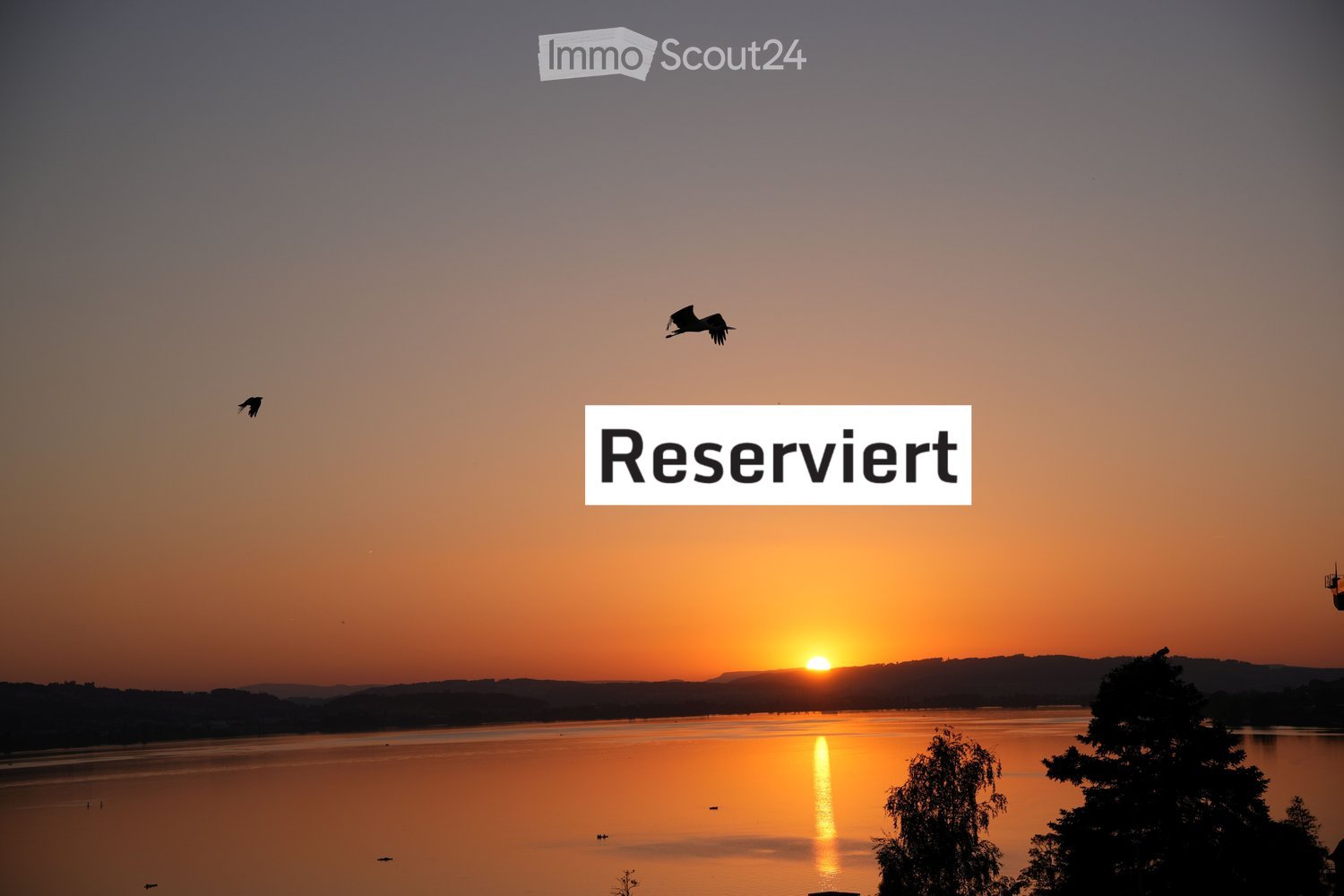 A serene sunset over a calm lake, with birds flying in the sky and a text overlay reading "Reserviert" (Reserved).