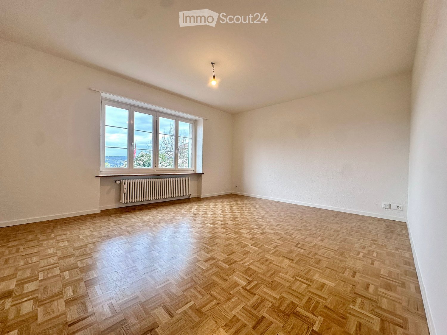 Empty room with wooden herringbone flooring, white walls, large window with view, radiator, and single ceiling light fixture.