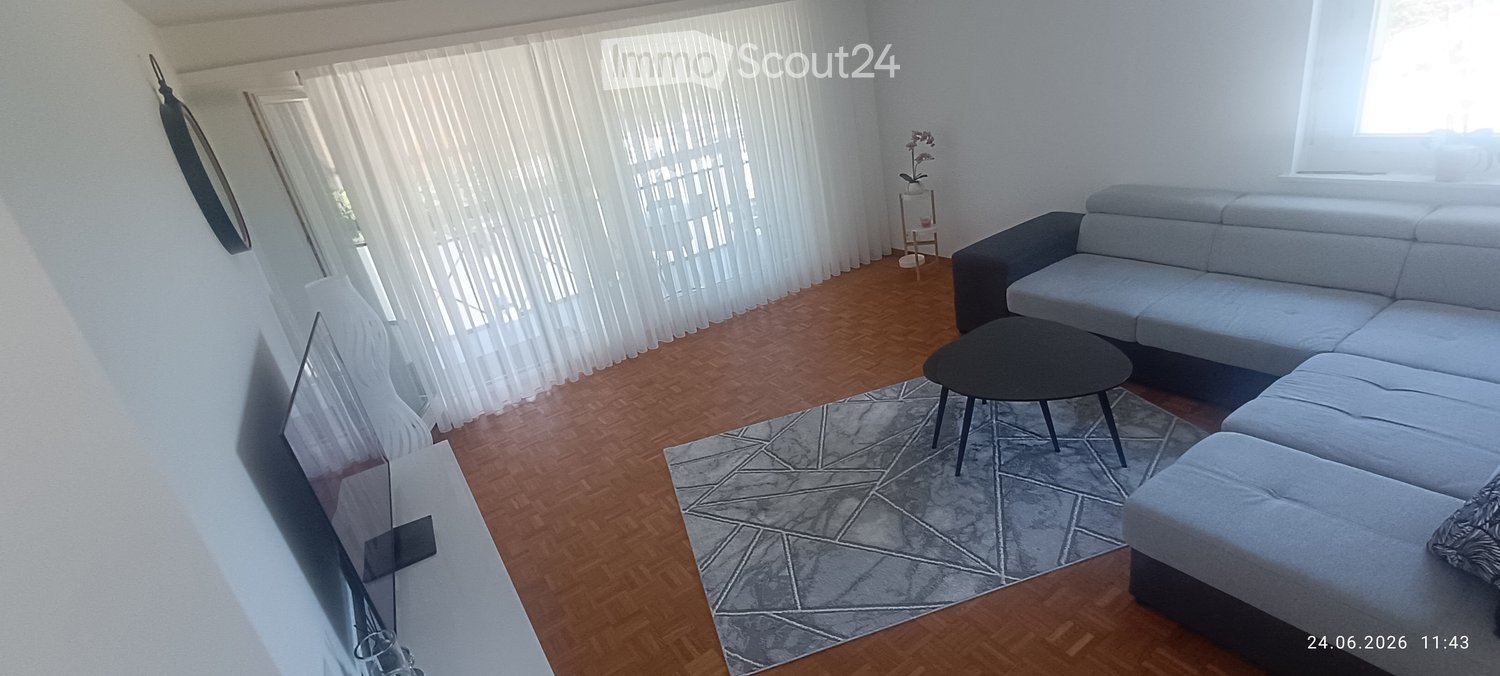 Modern living room with a grey sectional sofa, black coffee table, patterned rug, large screen, and a small table with a flower pot.