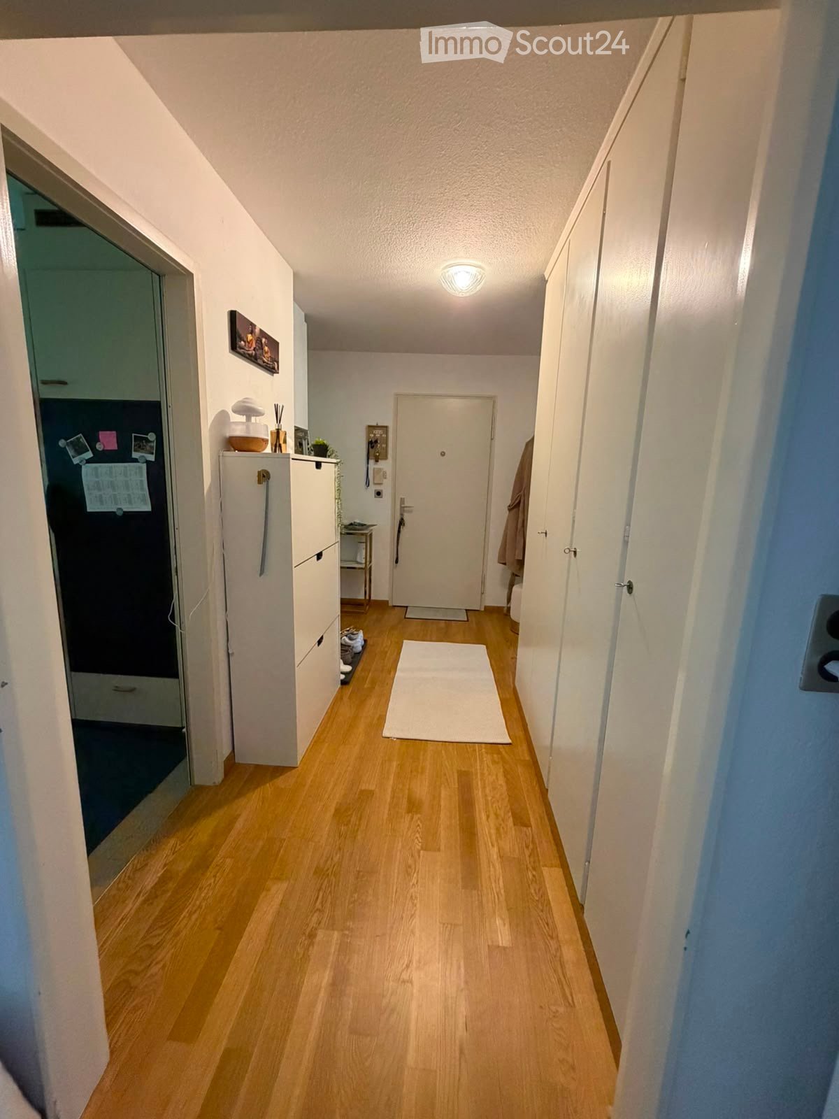 A narrow hallway with wooden flooring, white walls, and a ceiling light. A white rug is placed in the center, and a small cabinet with drawers is visible on the left side.
