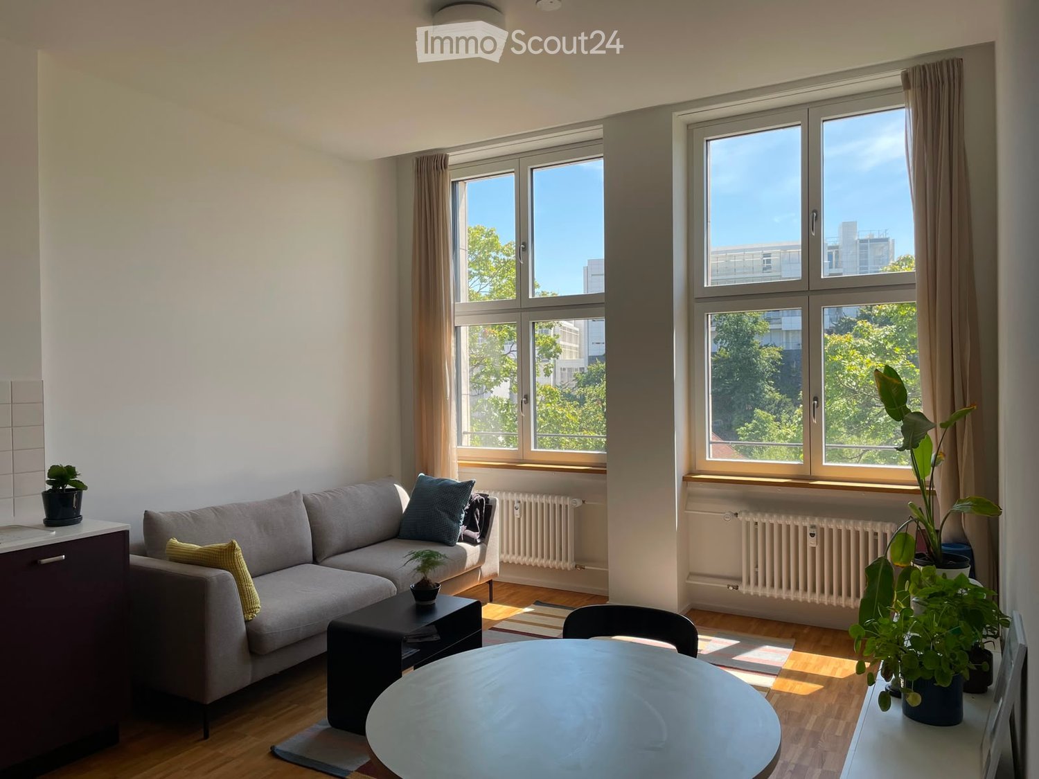 Modern living room with large windows, grey sectional sofa, coffee table, dining table, and potted plants.