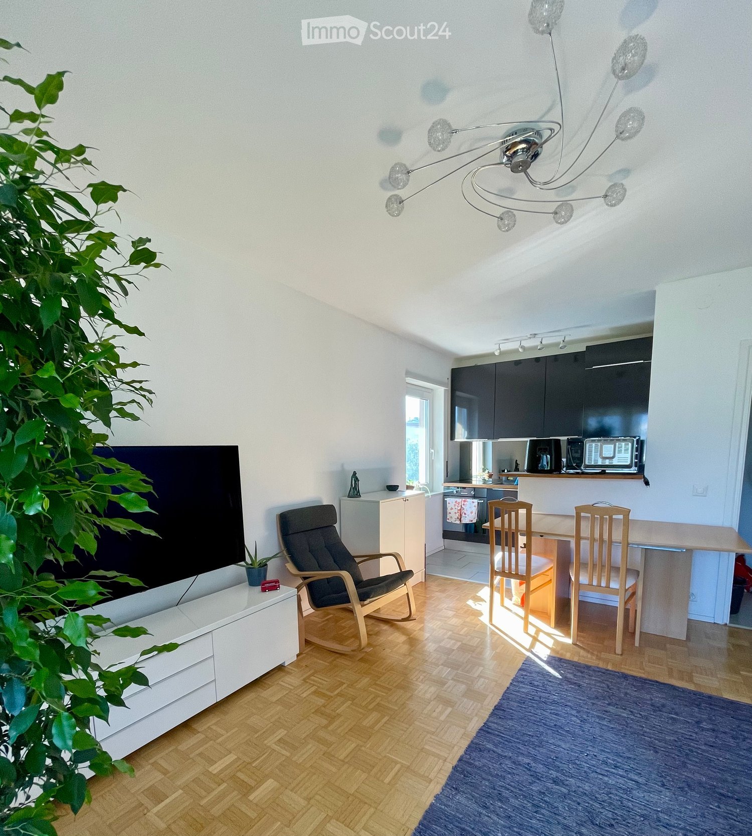 A modern, open-concept living and dining area with a large TV, comfortable seating, a dining table with chairs, and a small kitchen area with cabinets and appliances.
