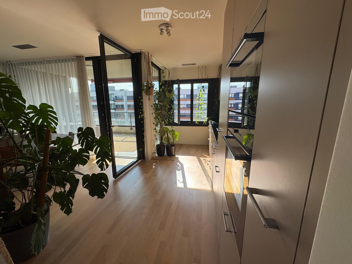 Bright hallway with wooden flooring, large windows, and sliding glass doors leading to a balcony. Potted plants are placed near the entrance.