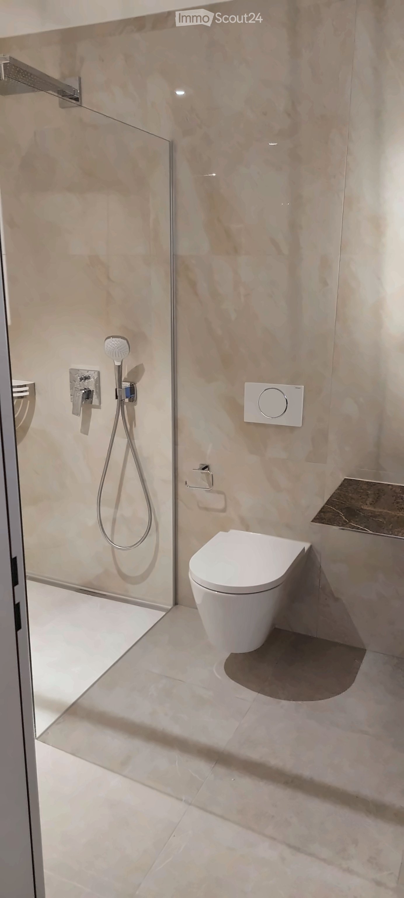 Modern bathroom with a white toilet, glass-enclosed shower area, and a handheld showerhead mounted on the wall.