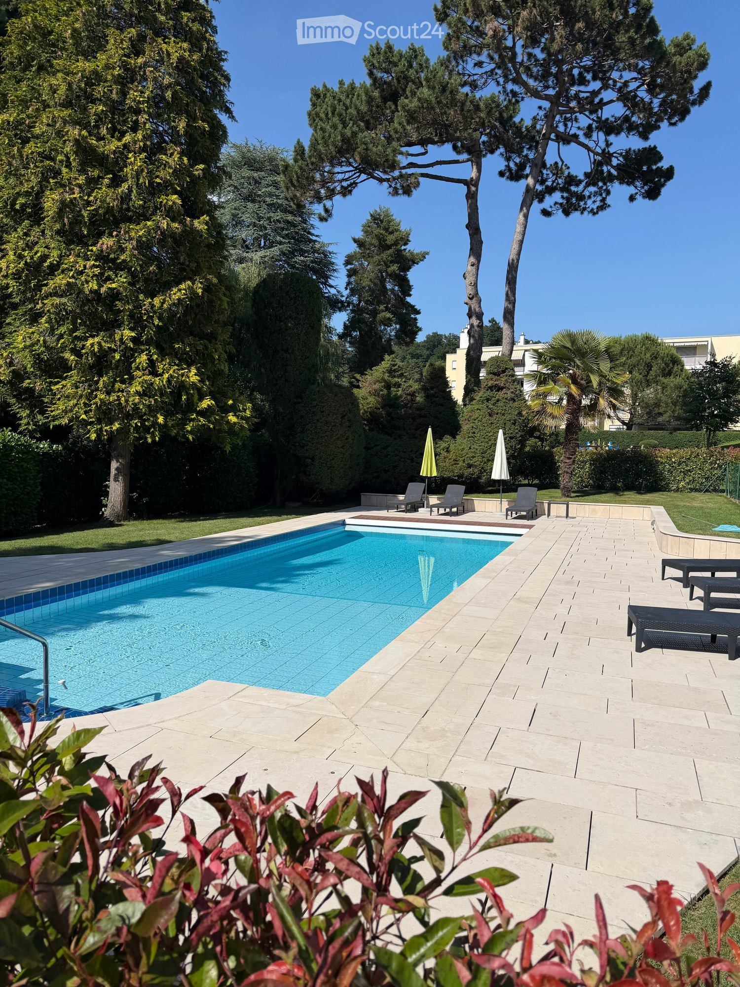 Well-maintained garden area with a swimming pool, lounge chairs, umbrellas, and surrounding greenery.