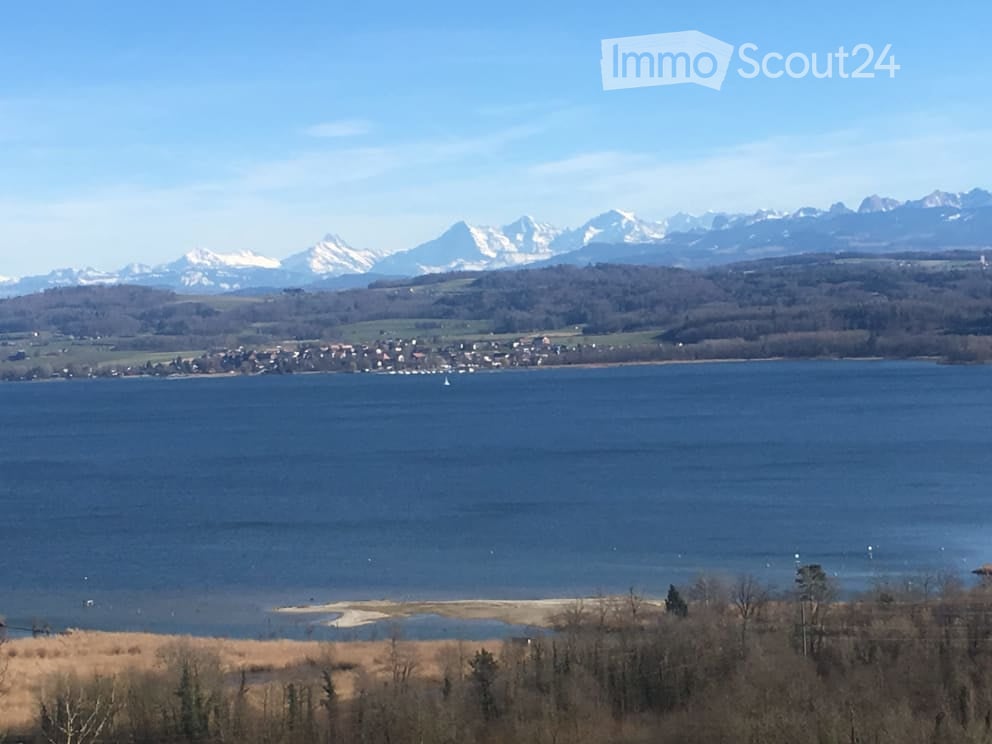 Scenic view of a lake with snow-capped mountains in the background, surrounded by a small town and trees.