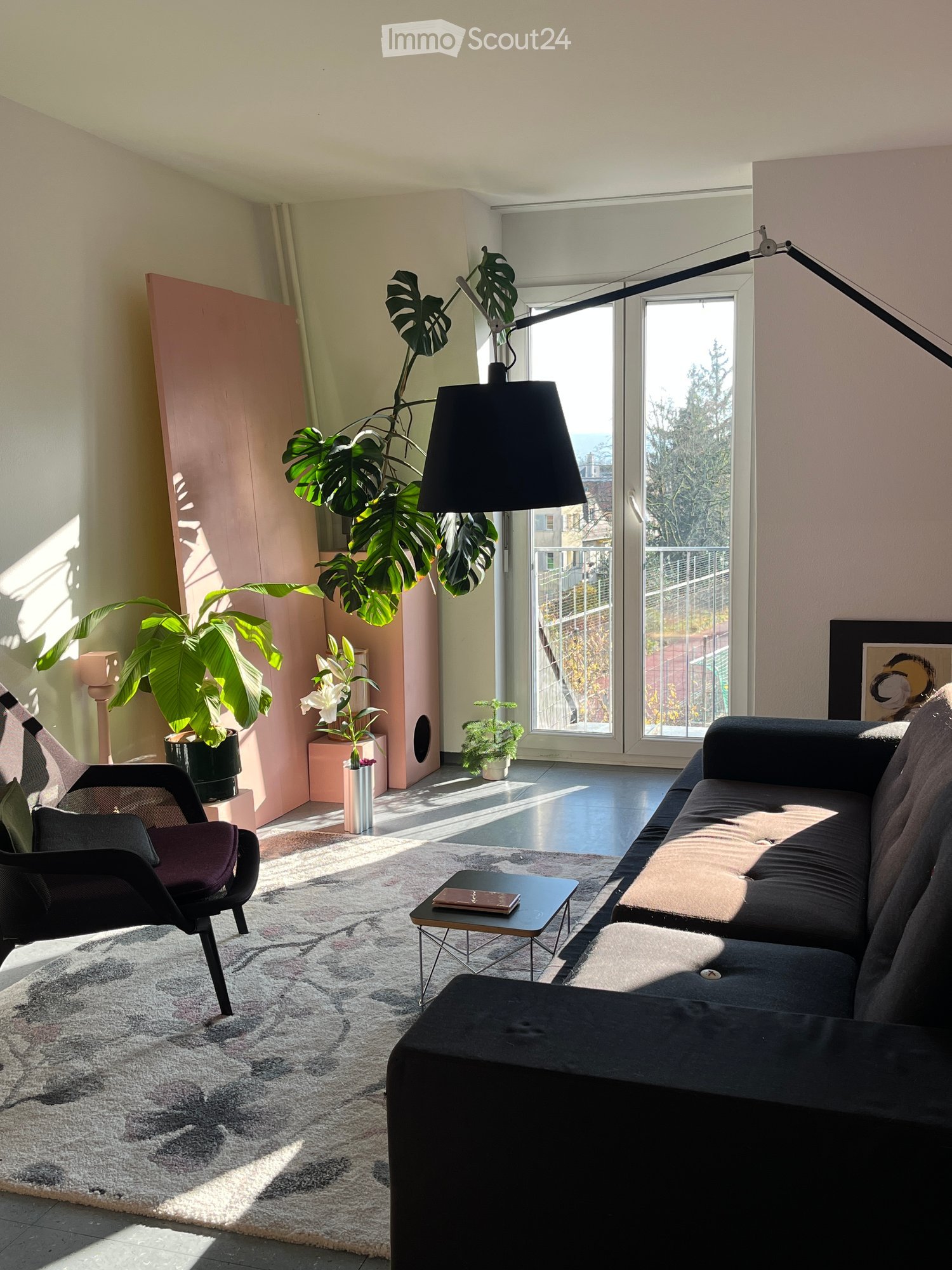 Modern living room with a black sofa, coffee table, armchair, floor lamp, and large plants near the window.