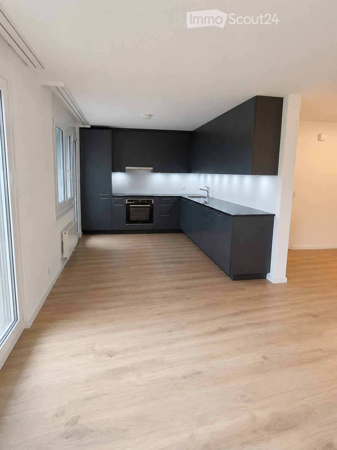 Modern kitchen with dark grey cabinets, light wooden flooring, and stainless steel appliances including an oven and sink.