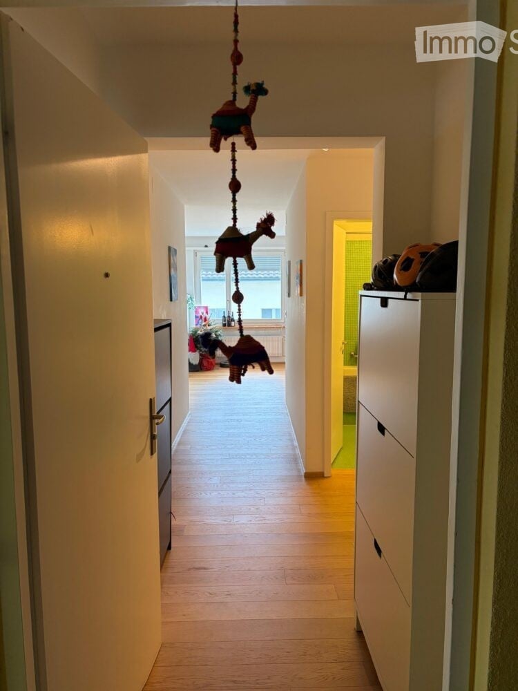 A narrow hallway with wooden flooring, white walls, and a decorative hanging toy camel. The hallway leads to a room with a window and some furniture visible in the background.