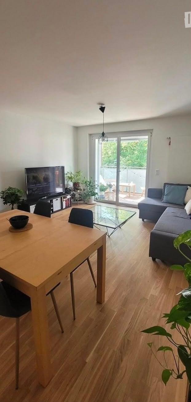 Bright living and dining area with wooden flooring, a grey sectional sofa, a glass coffee table, a wooden dining table with chairs, a TV on a stand, and several potted plants. A sliding glass door leads to a balcony.