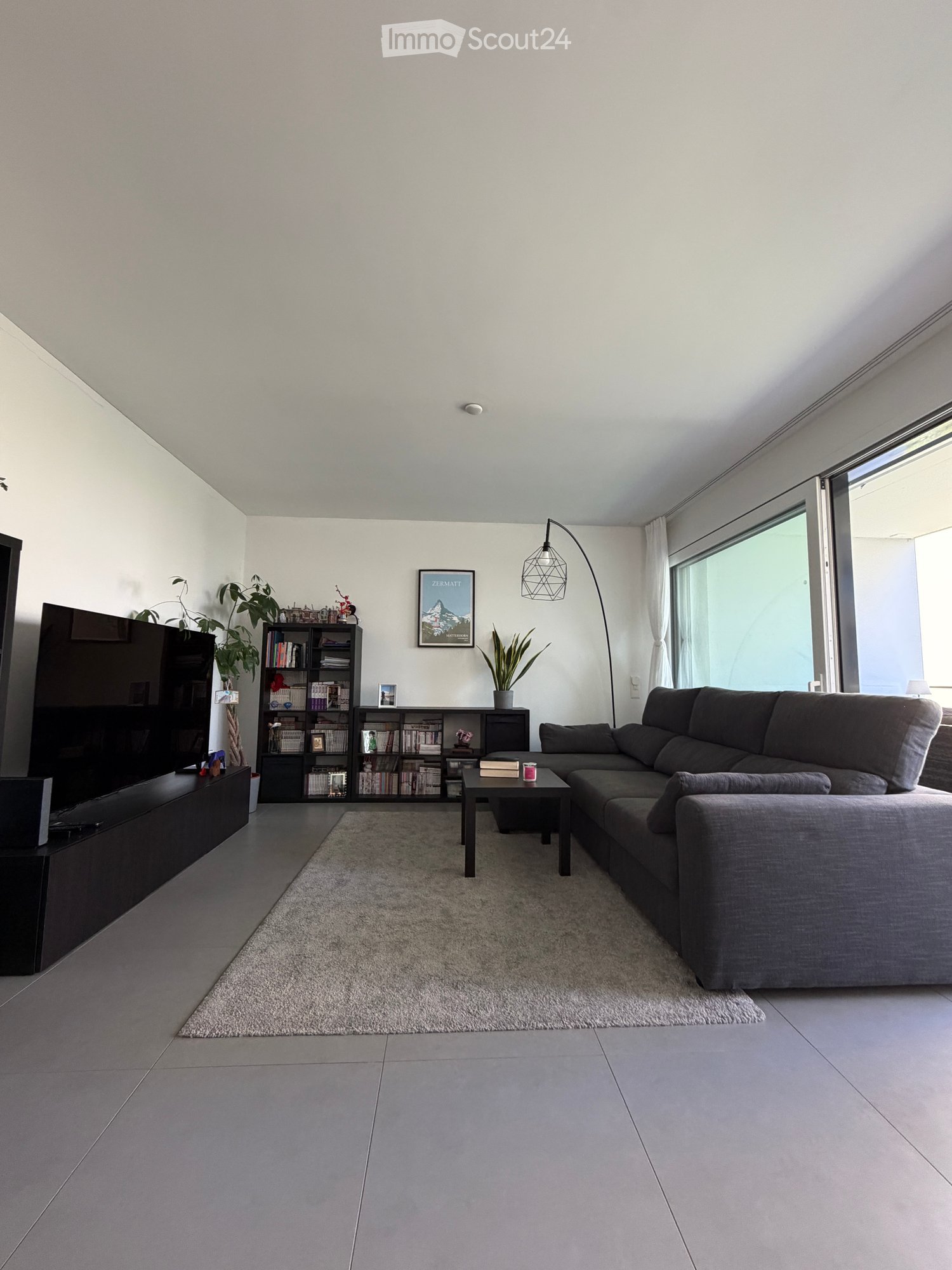 Modern living room with grey sectional sofa, coffee table, bookshelf, TV, floor lamp, and plants.