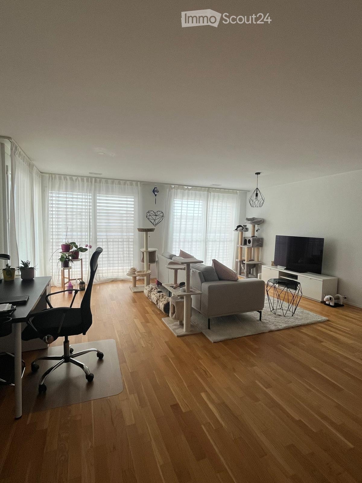 A modern living room with wooden flooring, a grey sofa, a cat tree, a desk with a chair, and a television on a stand.