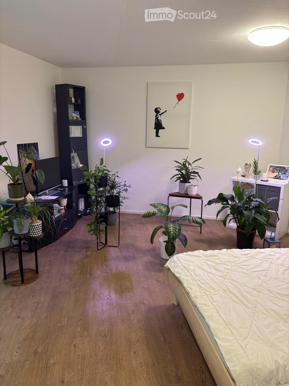 Cozy bedroom with wooden flooring, a bed with white bedding, a shelf with books and decorative items, several potted plants, a small table with a lamp, and a large artwork on the wall.